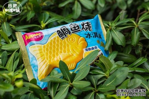 天富总代理待遇, 天富季度分红怎么算,