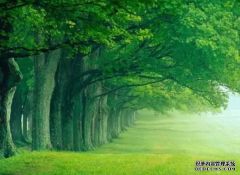 <b>控制油墨调色的准确度,天富注册平台从四个方</b>