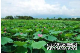 天富能赚多少钱, 天富平台导航,