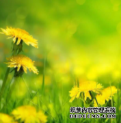 <b>吹膜相关工艺及常见问题的分析解决天富平台导</b>